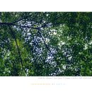 별을담다 이미지