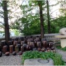 하얀쪽배 이미지