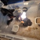 참다운농장 이미지