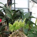 월평농장 이미지