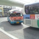 금진여객㈜ 이미지