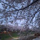 양재천 공중화장실2 이미지