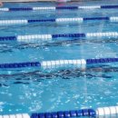 에스앤제이 프리미엄 수영장 | 동탄 수영장 ’에스앤제이 프리미엄‘ 성인수영, 직장인, 어린이 수영강습 추천! (내돈내산)