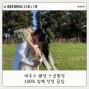 hair shop Soi(헤어 샵 소이) | [W.01] 제주도 웨딩 스냅 촬영 :: 제주로그 | 제주유일 | 셀프 드레스 준비 | 생화부케 조화부케 준비...