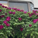 늘,그곳 이미지