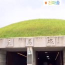 첨성대한의원 이미지