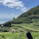 바다가보이는집민박 이미지