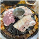 금돼지은돼지 이미지