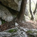 산양(산양보호구역) 이미지