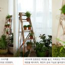 순수공간