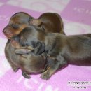 리코리아몰 이미지