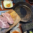 그릴1492 이미지
