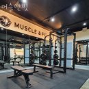머슬앤핏 이미지