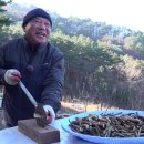 지상낙원 이미지