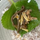 두거리 우신탕 이미지