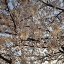 용평사거리 이미지