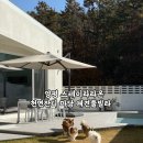 수카스테이
