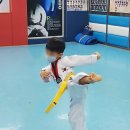 용인대석사튼튼태권도 이미지