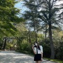 히크닉(Heecnic) 이미지