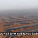 용성땅콩