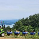 남해-256 이미지