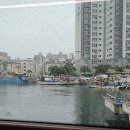 포항해파랑길16코스(흥환~선바위~연오랑세오녀~도구해변) ~2025.6.21~ 이미지