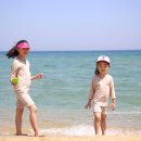 화산약품 이미지