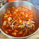 정성프라자약국 | 강남구청역 맛집 탐방 – 서울면옥 한교방, 깊은 맛의 한우 육개장 후기