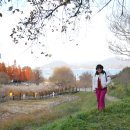 통영RCE세자트라센터 | 통영 RCE세자트라 숲