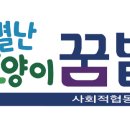 별난고양이꿈밭사회적협동조합 - 제주시 천수로 52 | 별난고양이꿈밭사회적협동조합