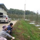 승기농장 이미지