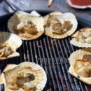 모녀가리비 이미지