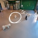 반려인학교 | 대구강아지유치원 대구애견호텔 달서구 상인동 월성동 추천 | 멍멍아 학교가자 상인점