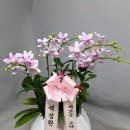 헤이리스고읍점