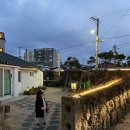 제주청년살이 이미지