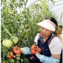 강금자농장 이미지