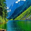 자연과  건강 이미지