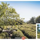 신흥목장 이미지