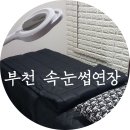 뉴아이래쉬 네이버블로그