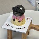 아토제2주유소 | 대구강아지케이크 설맞이로 준비한 댕수무강 아토 케이크 후기🐶🍰(+두쫀쿠출시)