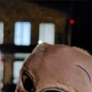 눈꽃새펜션 이미지