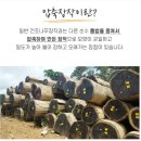 에코카보닝