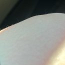 서울성모항정유외과의원 이미지