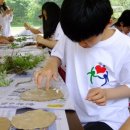 반딧불이 캠프 이미지