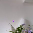 르에즈