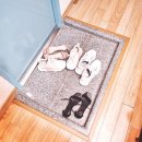 레드 무인텔 이미지