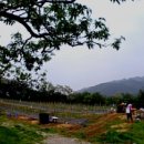 광현농장 이미지