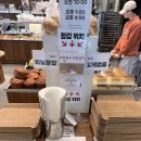 하레하레 | 대전 빵지순례 빵집추천 하레하레 도안점 후기(빵 추천,주차)