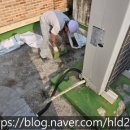 능내초등학교 이미지