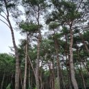 CU거창하나로점 이미지